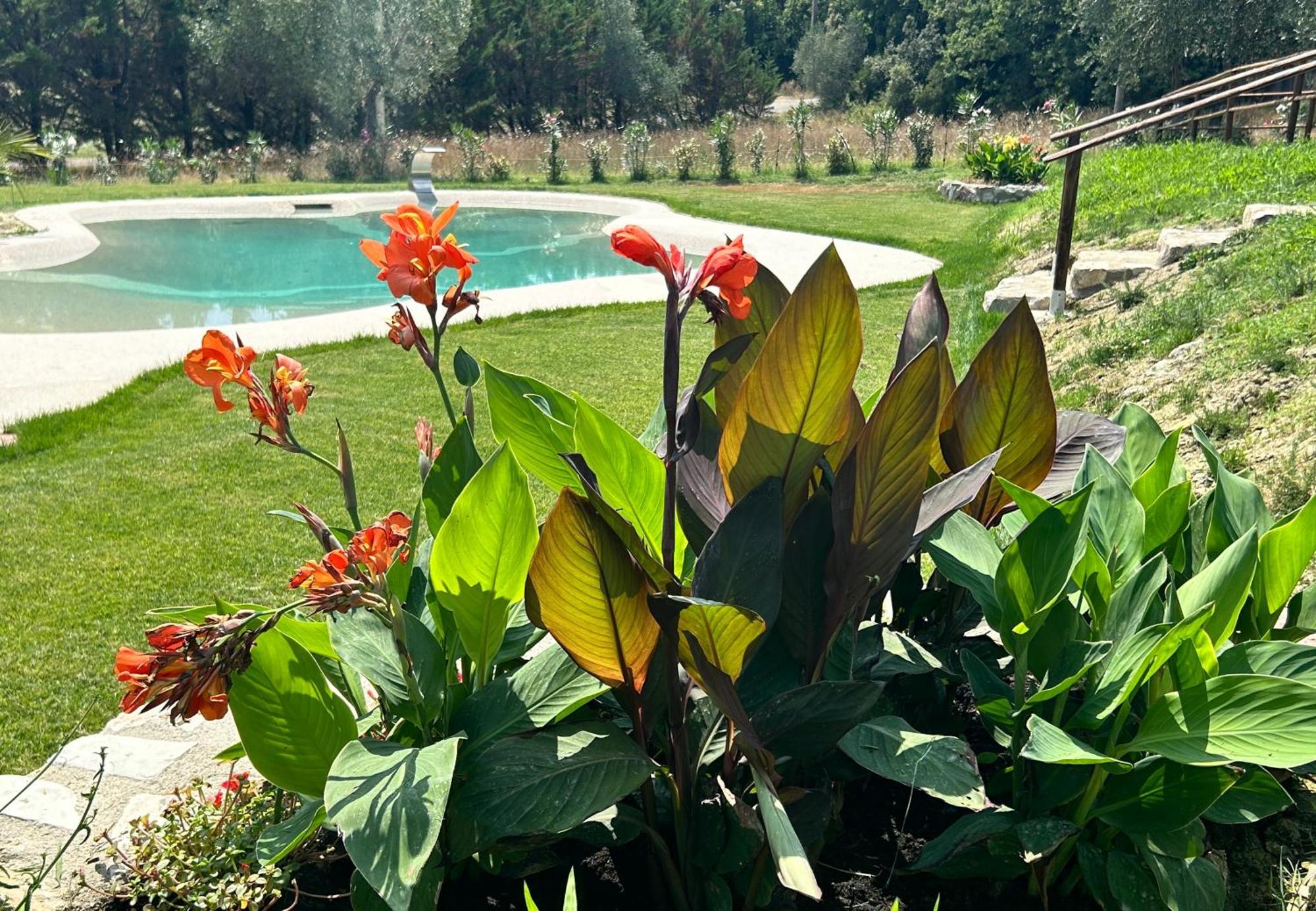 Agriturismo San Ansanino- Piscina Con Spiaggia-Aria Condizionata Pari Exterior photo
