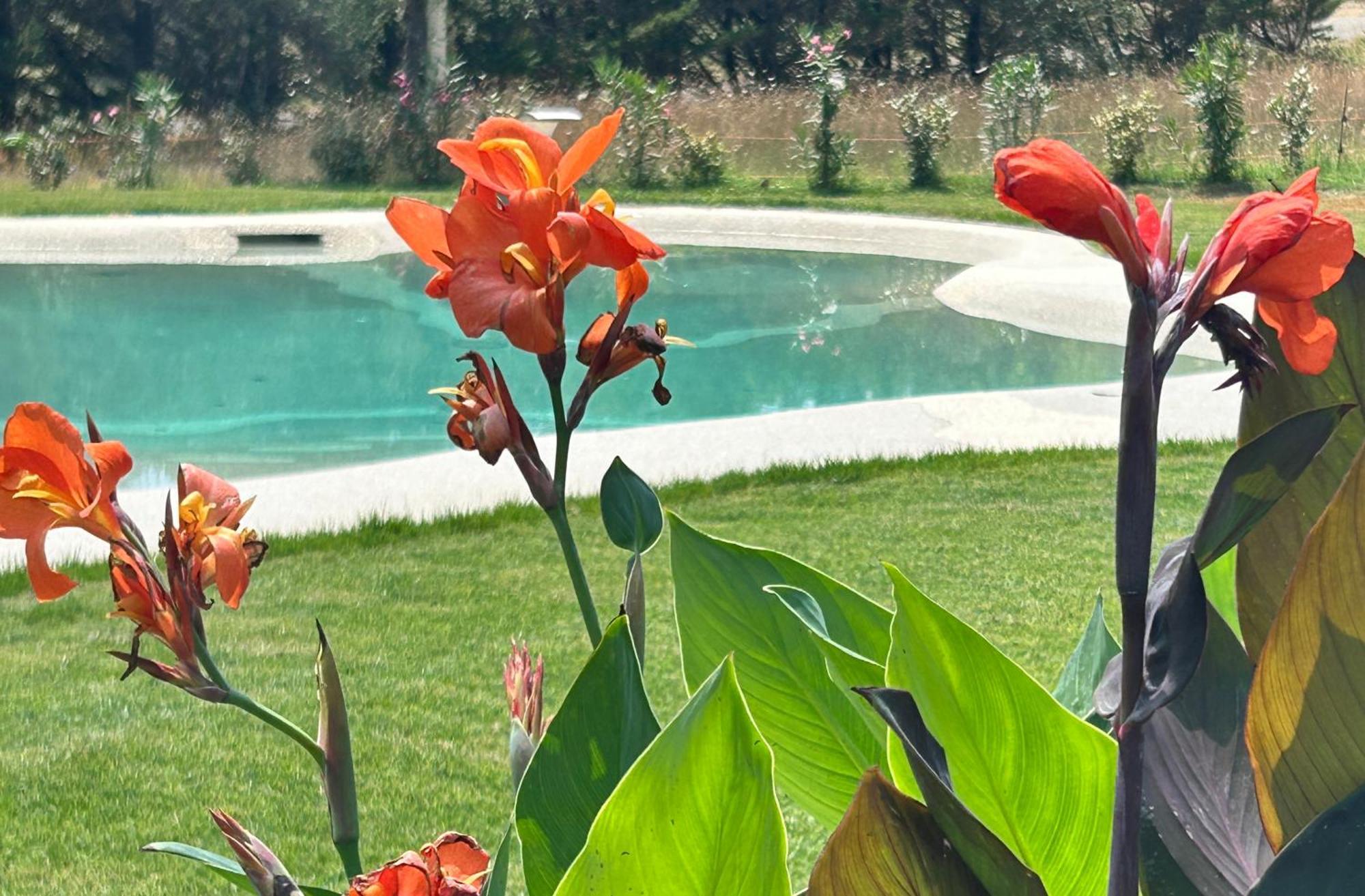 Agriturismo San Ansanino- Piscina Con Spiaggia-Aria Condizionata Pari Exterior photo
